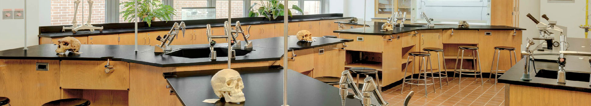 Middle College Campus Science Room - Queens